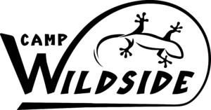 Logo-300x157.png